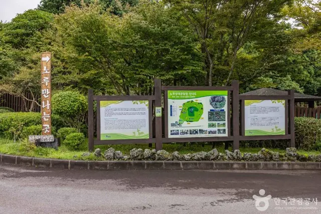 제주 노루생태관찰원 사진