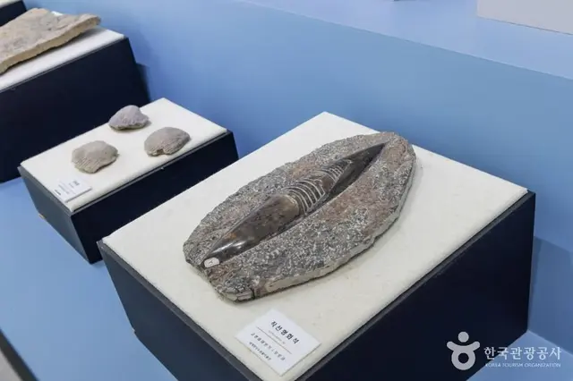 세계화석광물박물관 사진