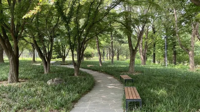 대구어린이대공원 사진
