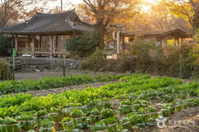 한국민속촌 사진