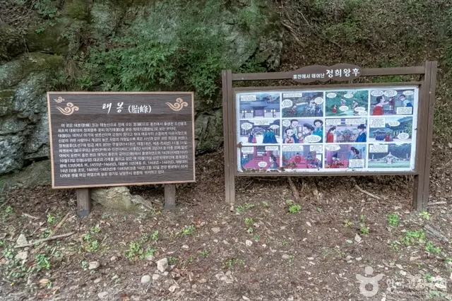 공작산생태숲 사진