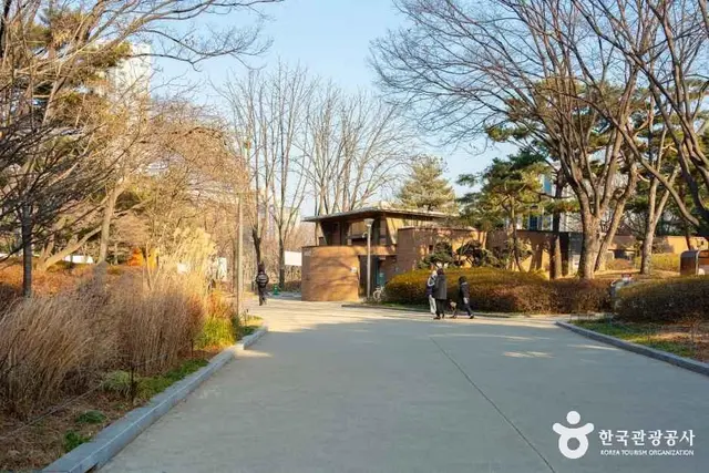 양천공원 놀이터 사진