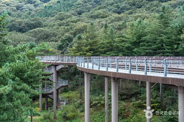 보령 무궁화수목원 사진
