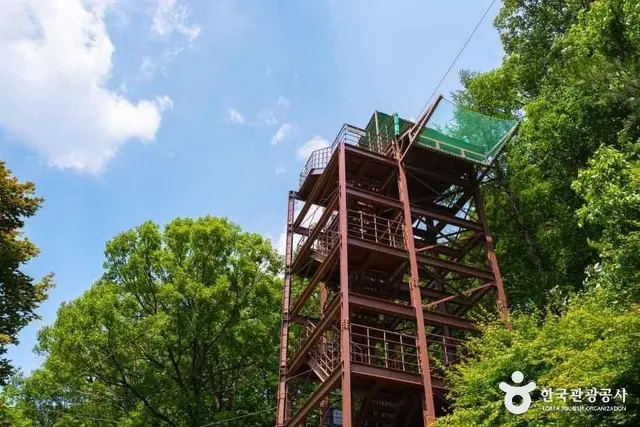 좌구산 자연휴양림 사진