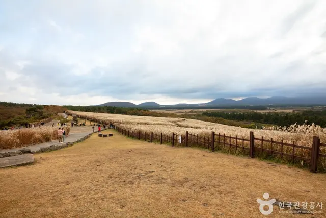 산굼부리 사진