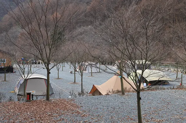 횡성산울림오토캠핑장 사진