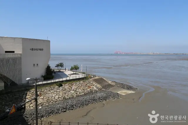 오이도박물관 사진