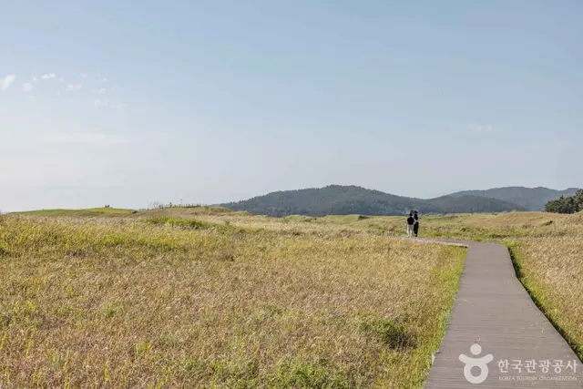 신두사구 쉼터공원 (신두사구 생태공원) 사진