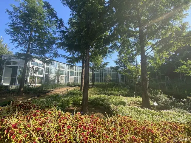 설악산 자생식물원 사진