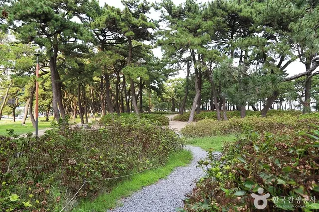송림공원 사진