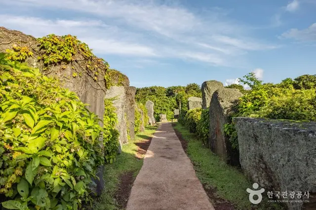 제주돌문화공원 사진
