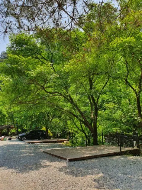 검산별빛캠핑장 사진