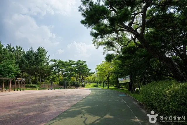 지도공원 사진