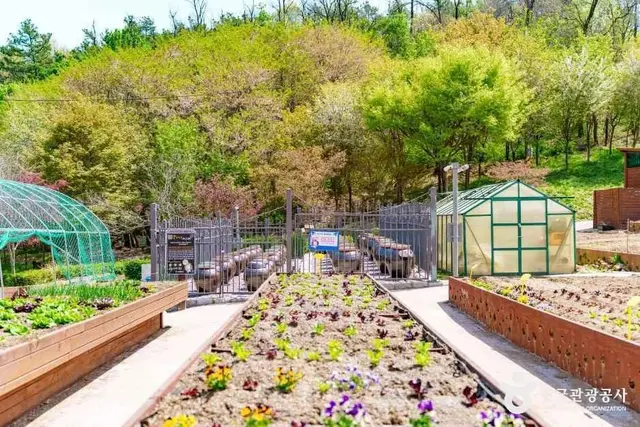 양천도시농업공원 사진