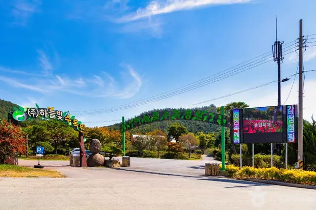 하늘빛수목원 사진
