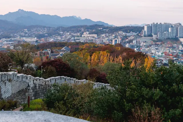 마로니에공원 사진