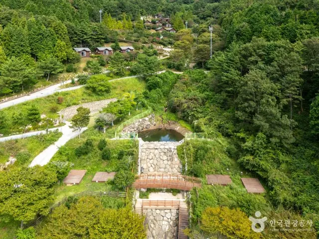 봉황산자연휴양림 사진