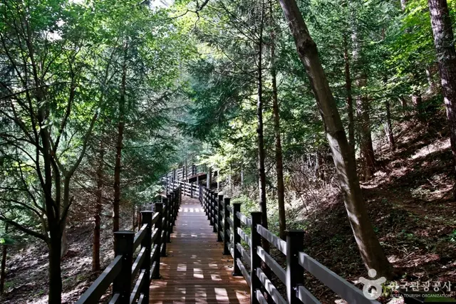 국립 덕유산자연휴양림 사진