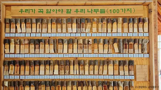 봉화목재문화체험장 사진