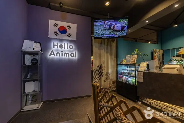 헬로애니멀 사진