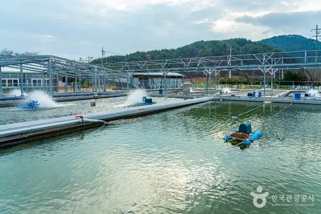 민물고기생태체험관 사진