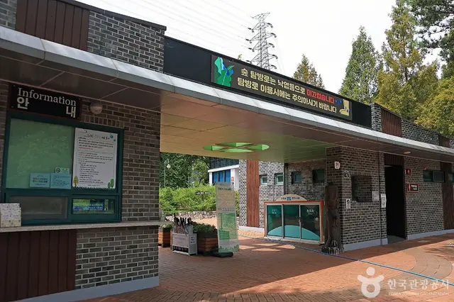 황학산수목원유아숲체험원 사진