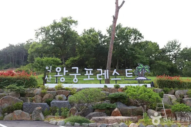 왕궁 포레스트 사진