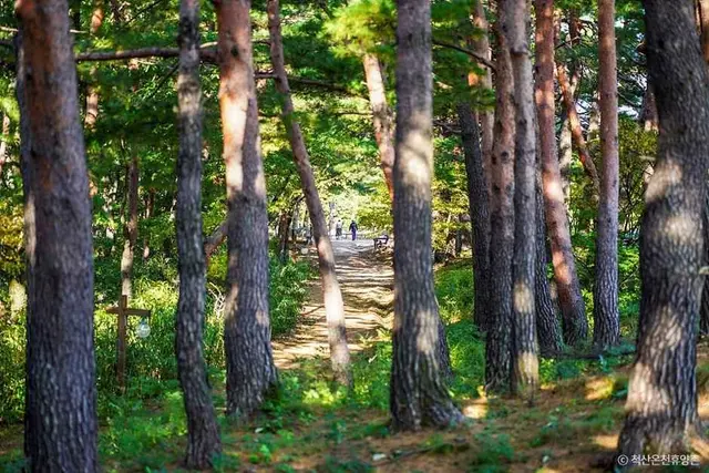 척산온천휴양촌 사진