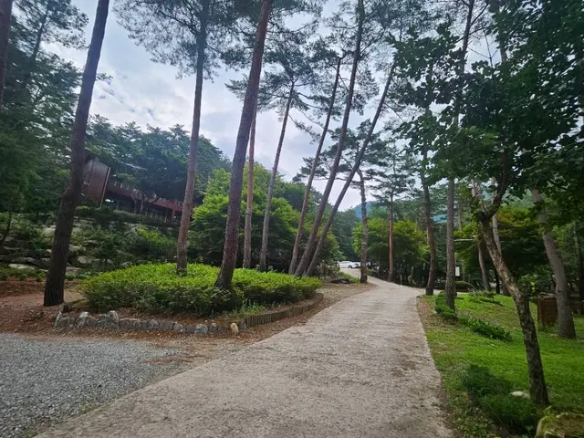 국립검마산자연휴양림 사진