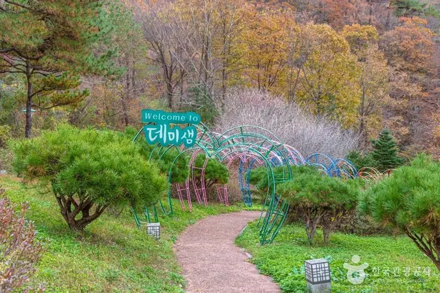 데미샘자연휴양림 사진