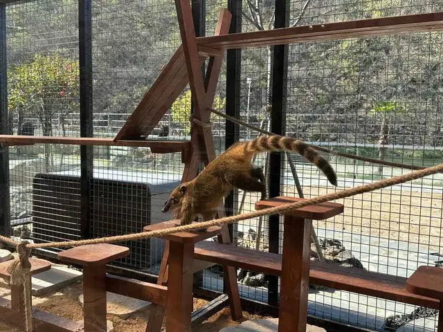 와글와글 동물원 사진