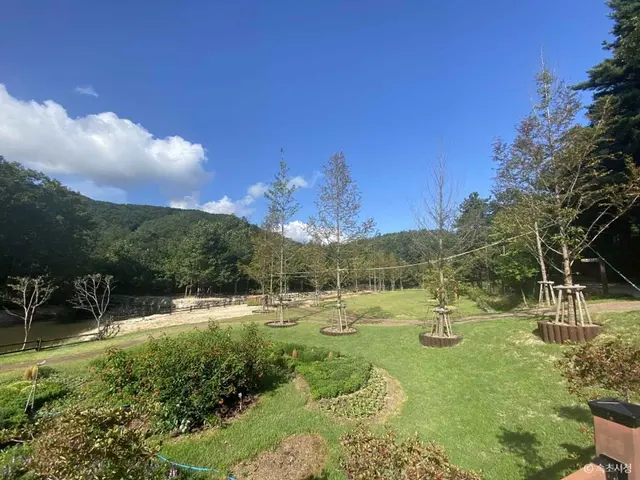 설악산 자생식물원 사진