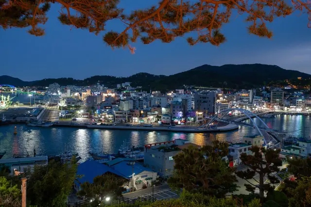 디피랑 사진