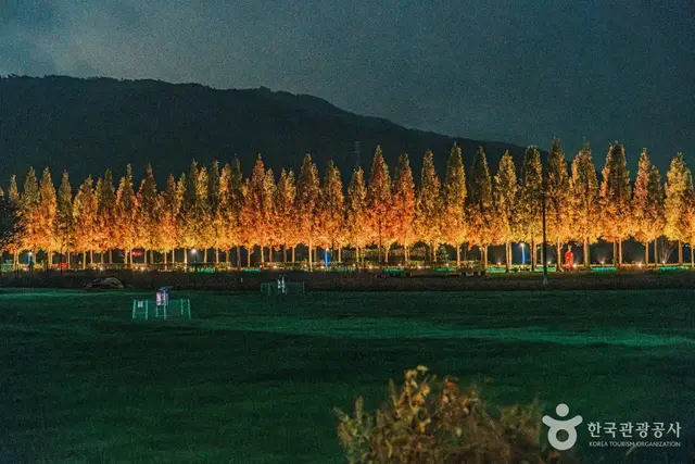 덕산 메타세쿼이아길 사진