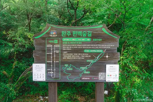 상관 공기마을 편백숲 사진