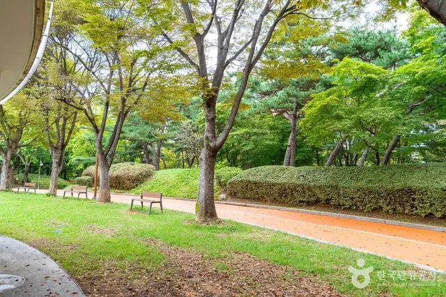 신트리공원(서울) 사진