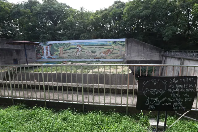달성공원 사진