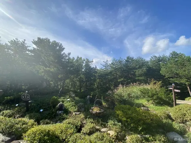 설악산 자생식물원 사진