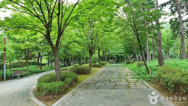 신사공원 사진