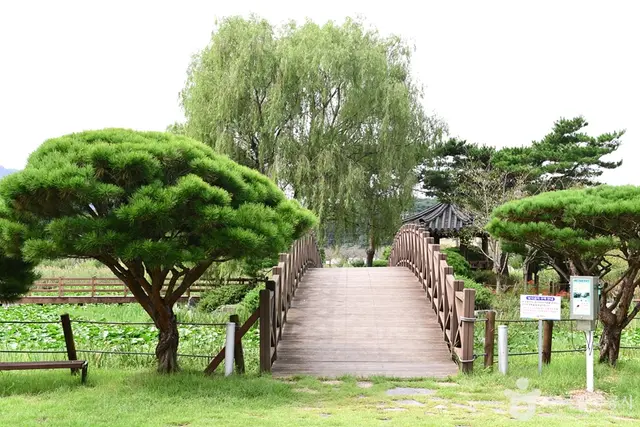 영광불갑테마공원 사진
