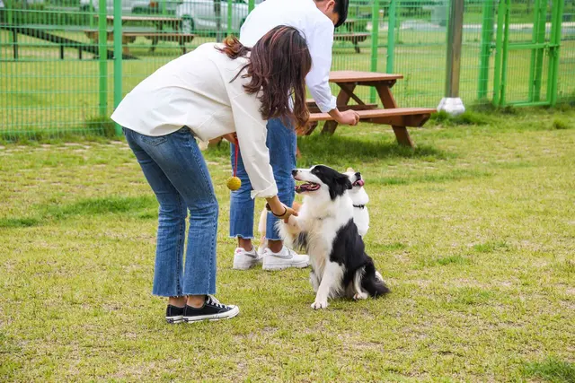 요천생태습지공원 사진
