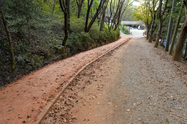 계족산 황톳길 사진