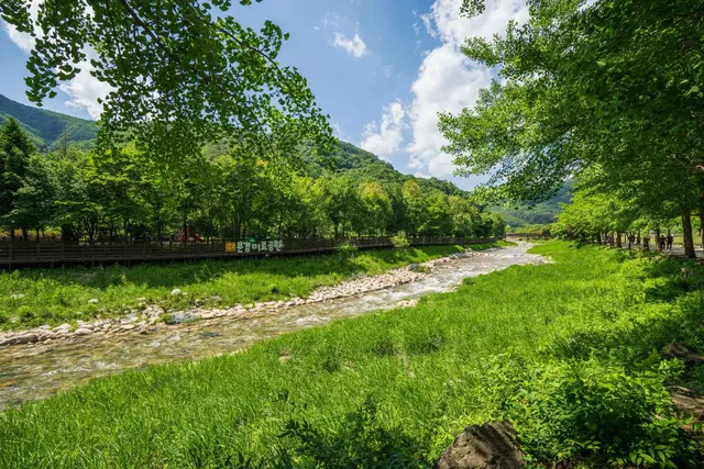문경새재도립공원 사진