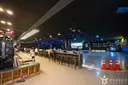 로라비트 사진
