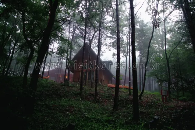 성주산자연휴양림 사진