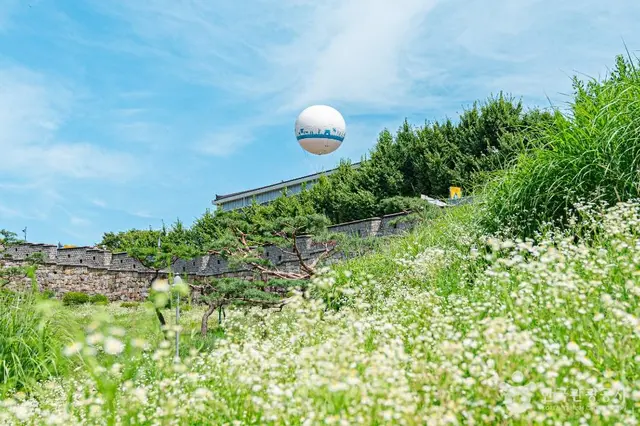 플라잉수원 사진