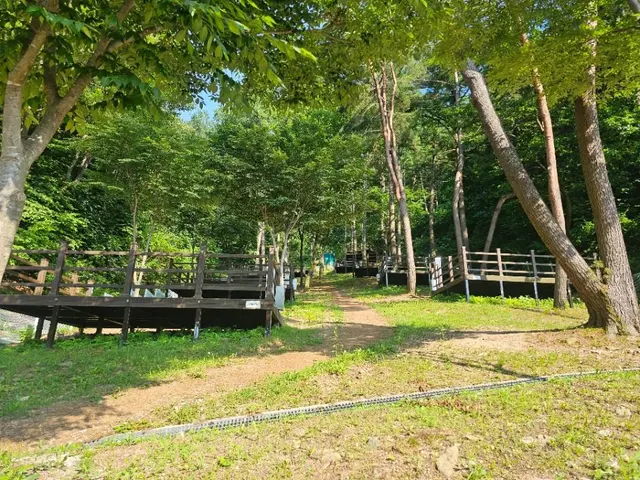 문수산자연휴양림 사진