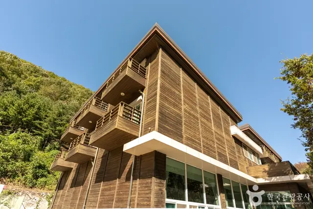군위 장곡자연휴양림 사진