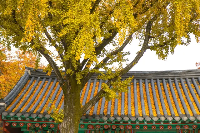 경기전 사진