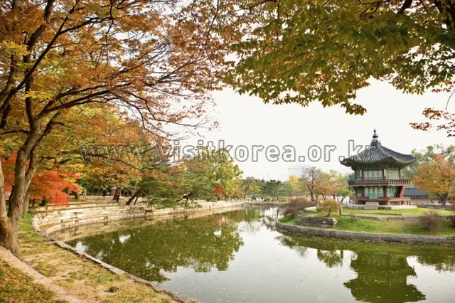 경복궁 향원정 사진
